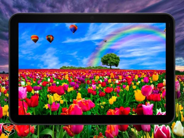 Flower Fields LWP