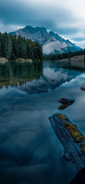 file_100938200