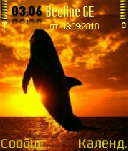 dolphin 0 1