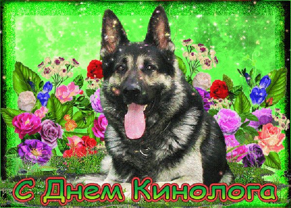 Анимированная открытка с днем кинолога