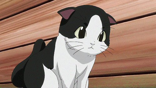 Ginbei Haruomi Sawatari|Харуоми Гинбей Саватар