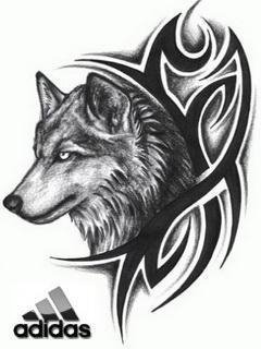 Volk Adidas