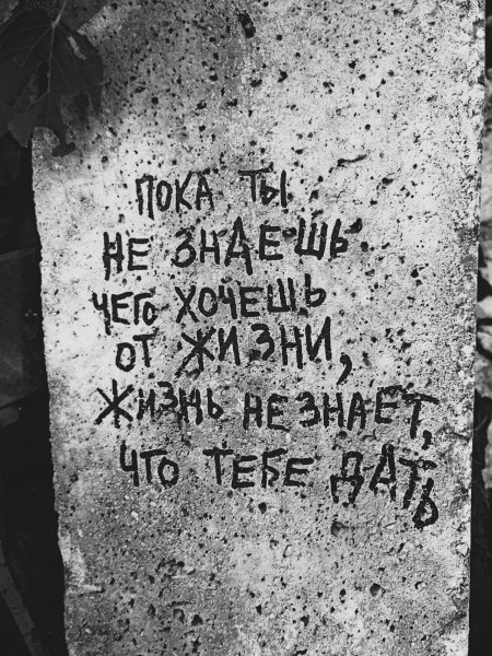 file_103006668