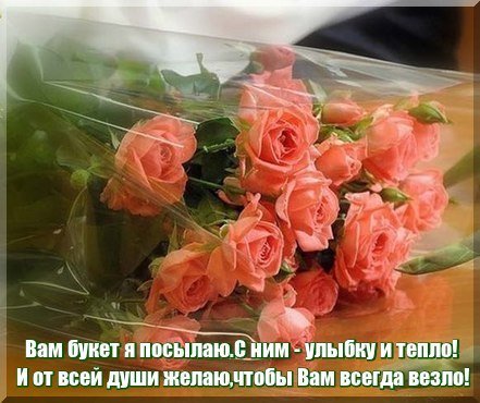 bGlcpA0oGtY