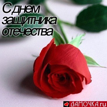 file_14914641