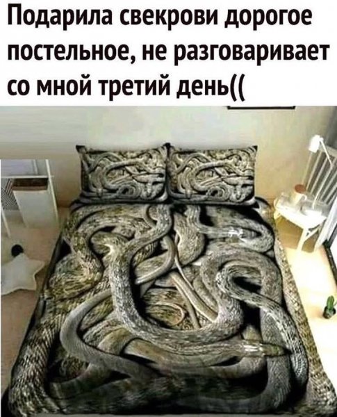 FB IMG 1789560592146