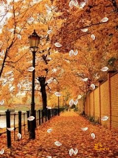 file_58399982