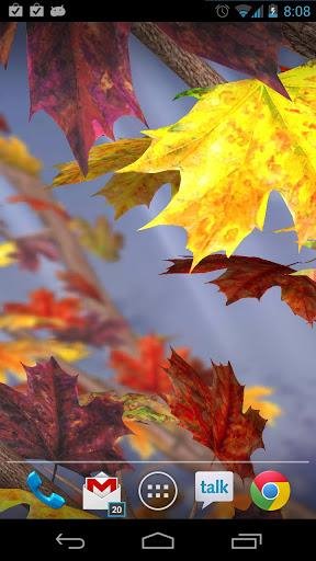 Maple Leaf Live WallPaper