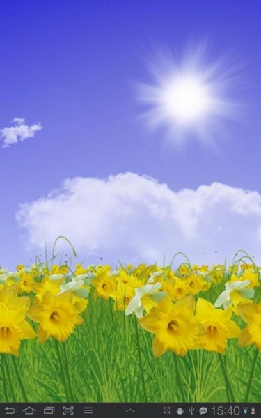 Daffodils Live Wallpaper - v.2.21
