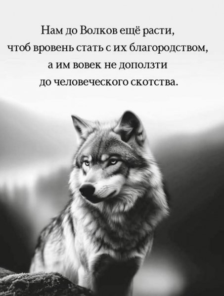 FB IMG 1765869427619