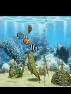 аквариум рыбки анимация