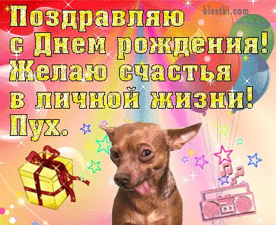 s-dnem-rozhdeniya-otkrytki-s-chihuahua