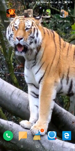 Tiger 3D Live Wallpaper V 1.1(No Ads)