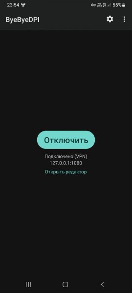 ByeByeDPI-v.1.6.4-arm64-v8a
