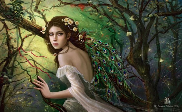 Brooke Gillette (Shadowbrooke) - Feathers of Peacock
