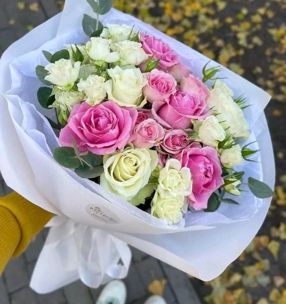 file_95827257
