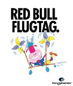 red bull flugtag