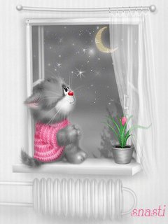 file_2802487