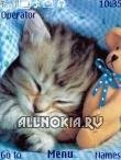 Kotenok by AnySun