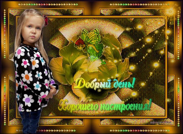 0 b9d63 350146dd XL