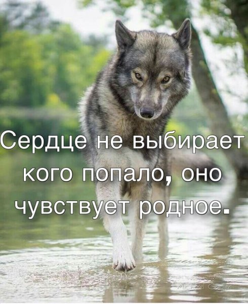 Помни