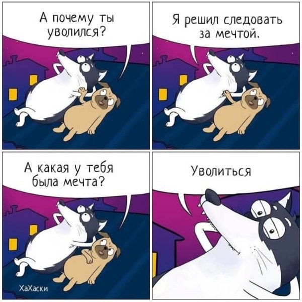 FB IMG 1780825776741