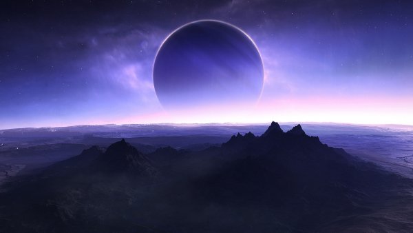 file_61934500