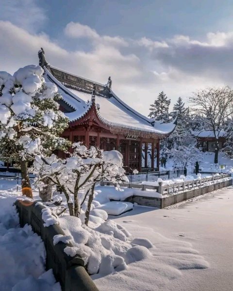 file_95694228