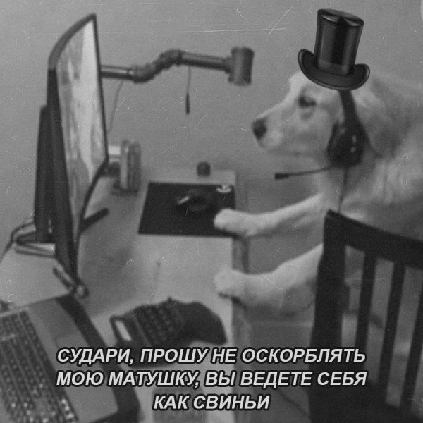 IMG 20260522 022623 791