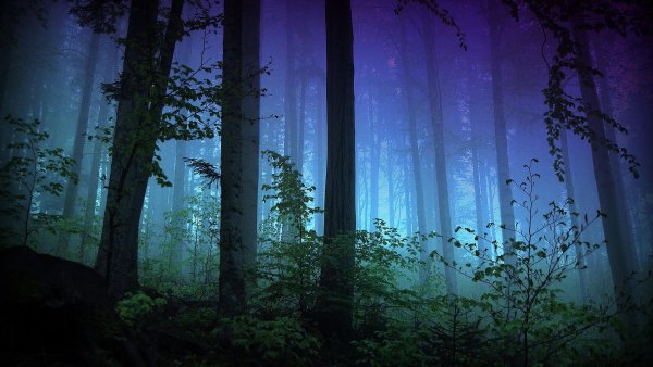 file_75642675