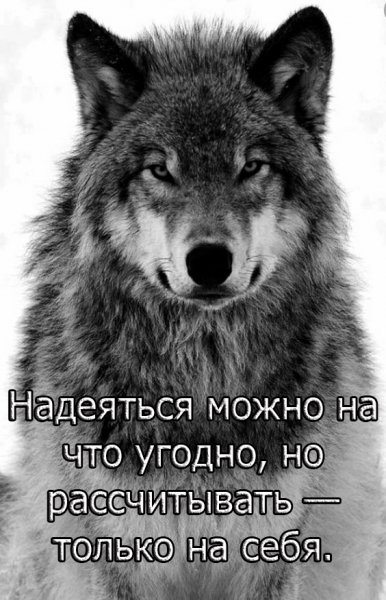 Запомни