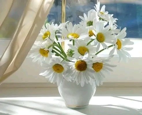 file_96309649