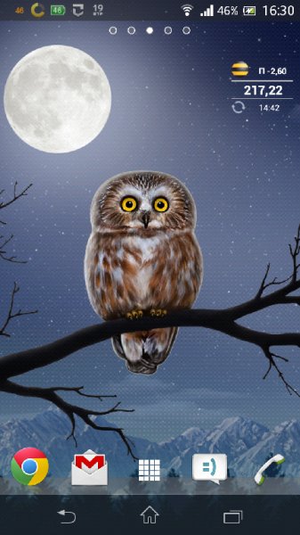 OwlLiveWallpaper-android1.0.1