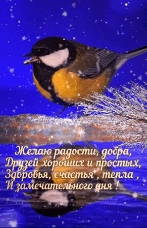 file_92009022