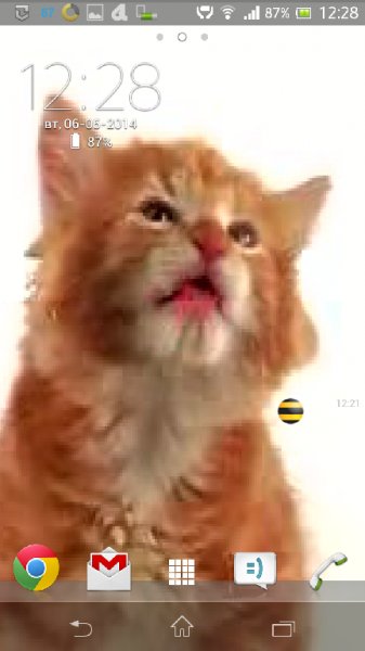 Cat licks 1.1