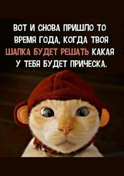 file_98413513
