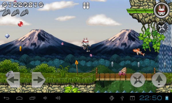Bun-Fu Way of the Rabbit v1.1