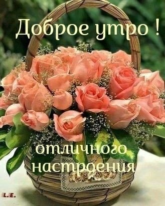 IMG 20191209 274323