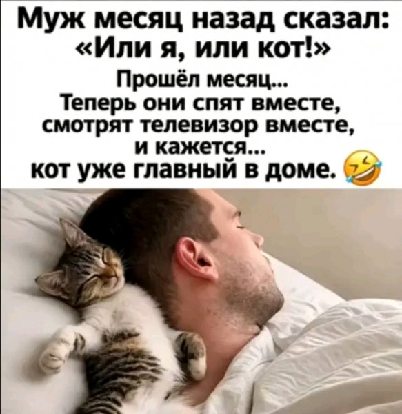 file_103352592