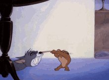 Tom-and-jerry-fight