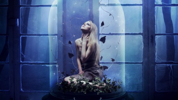 Image (22)