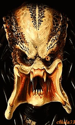 predatorfa tjd37311