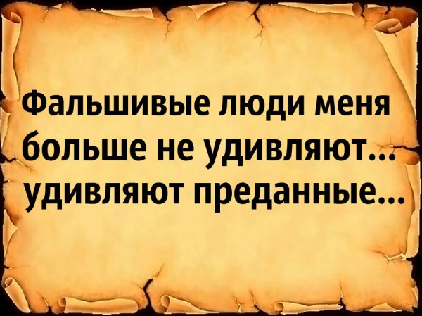 IMG 20251124 035445