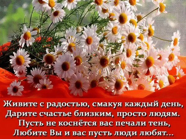 07-07-07-28-59