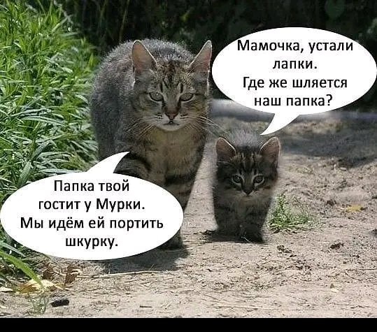 FB IMG 16589814879639106