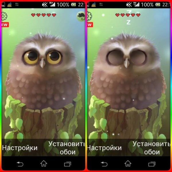 little-owl-lwp-v1.1.8