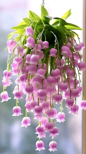 file_95674201