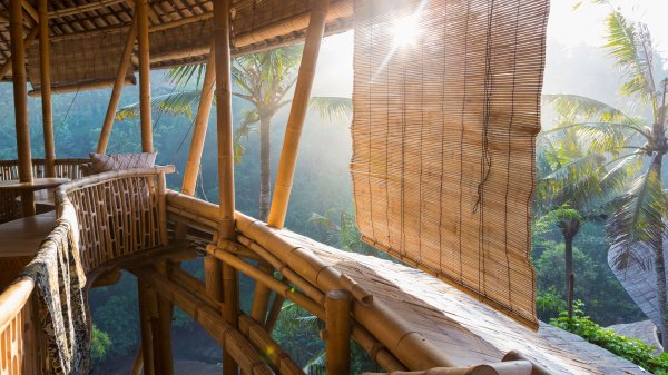World of Bamboo Premium