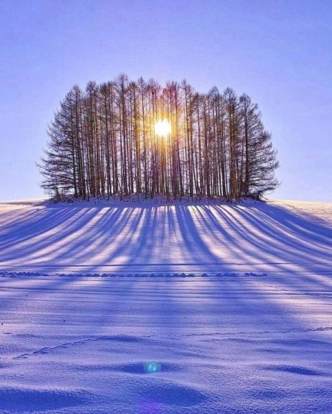 file_95262356