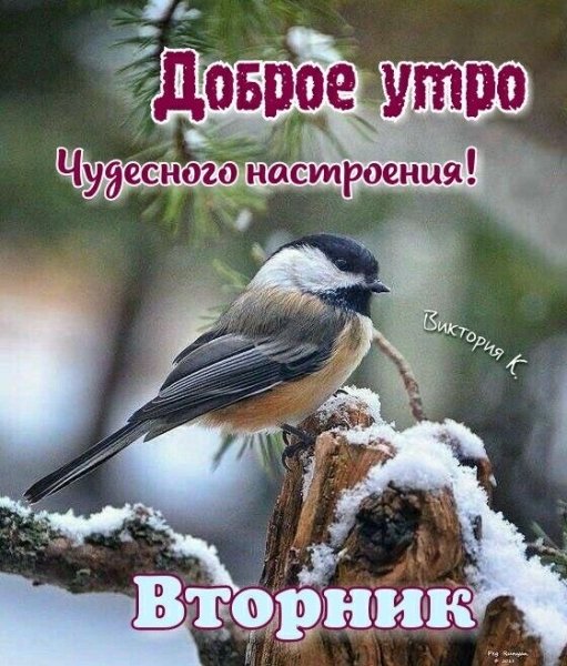 file_93464242